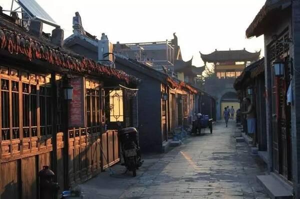 又一动物园出现猴猫共栖,专业动物园该如何对待动物?这家获赞无数